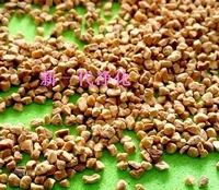 (yu)|(zh)ҚҚ(ͣҚw